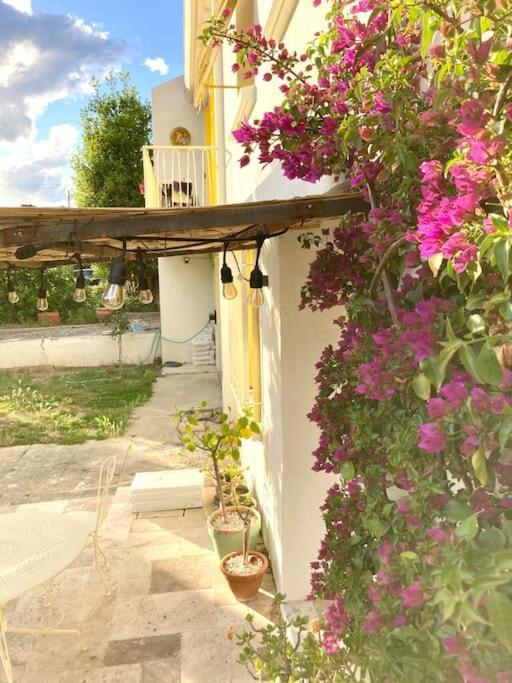 La Suite De La Maison Jaune Montpellier Bagian luar foto